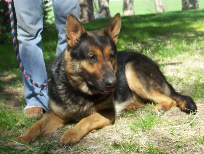 Judy 2010