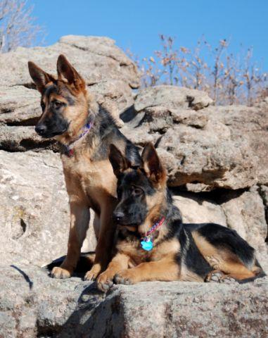 Maggie standing(Flora/Ugo;Reagan(Judy/Ugo)